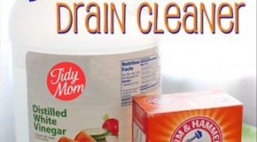 Best Drain Cleaner