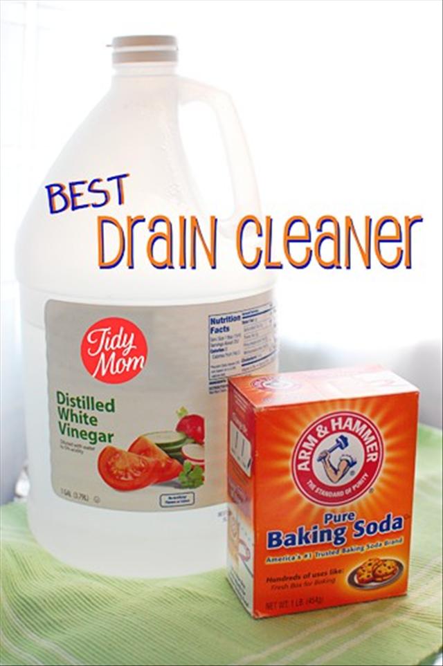 Best Drain Cleaner