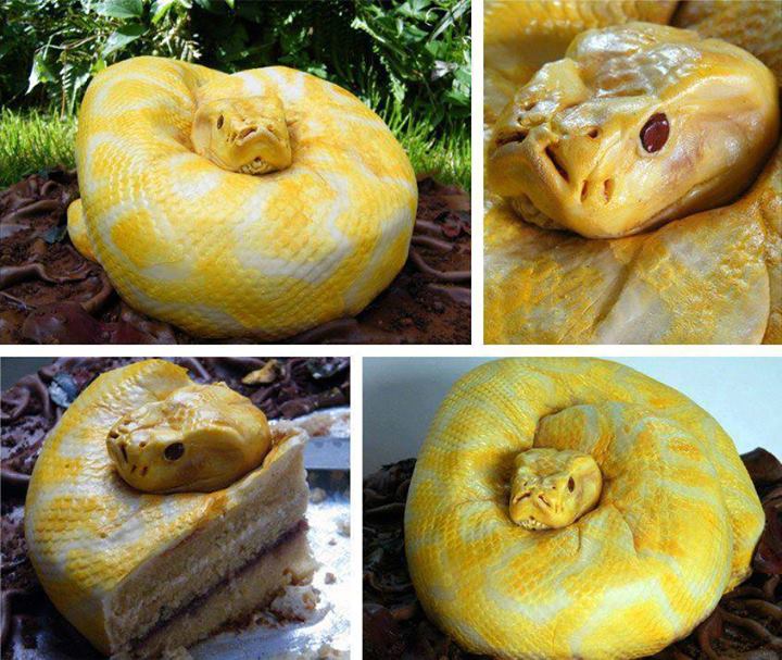 Snake Cake